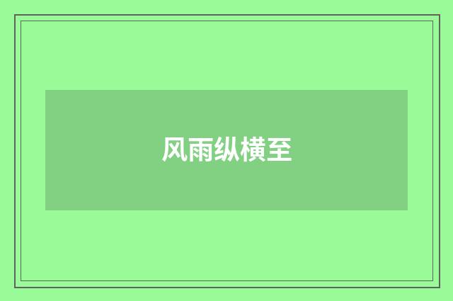 风雨纵横至