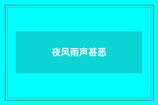 夜风雨声甚恶