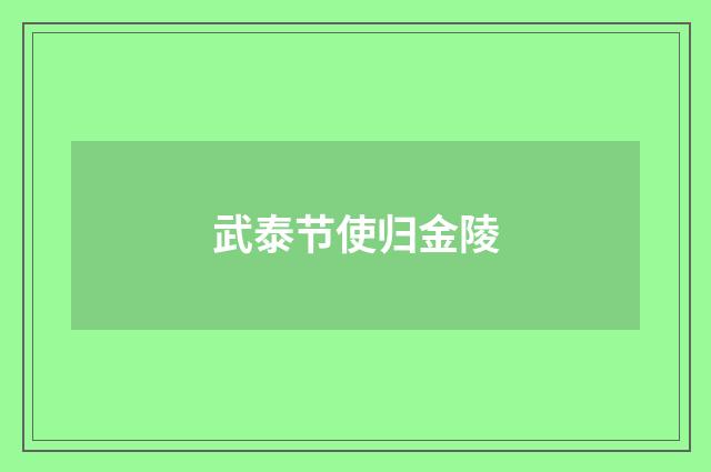 武泰节使归金陵