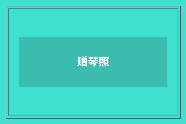 赠琴照