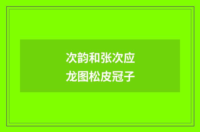 次韵和张次应龙图松皮冠子
