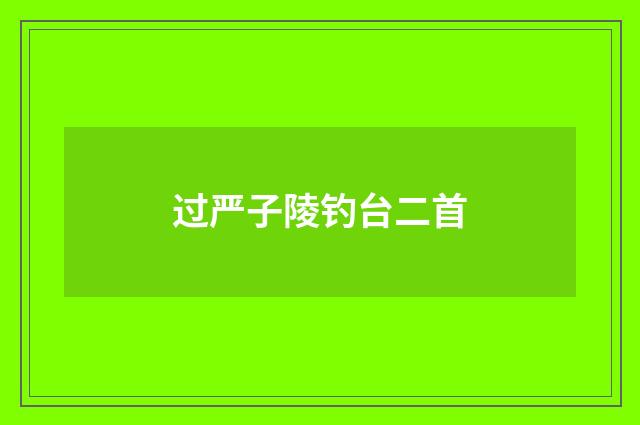 过严子陵钓台二首