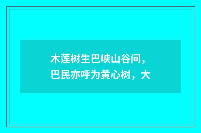 木莲树生巴峡山谷间，巴民亦呼为黄心树，大
