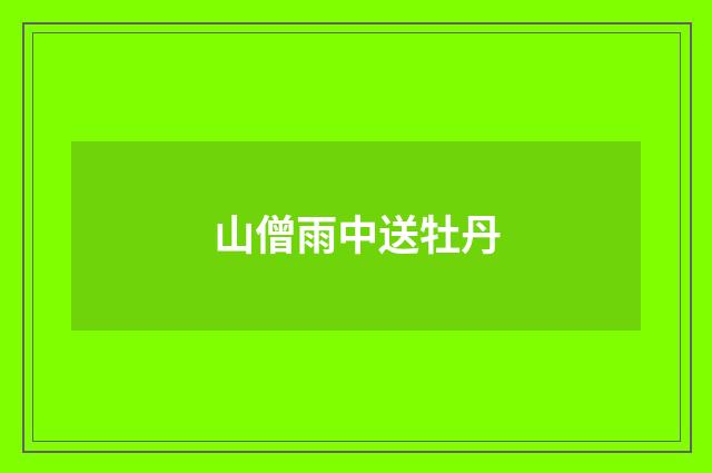 山僧雨中送牡丹