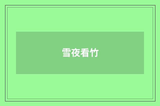 雪夜看竹