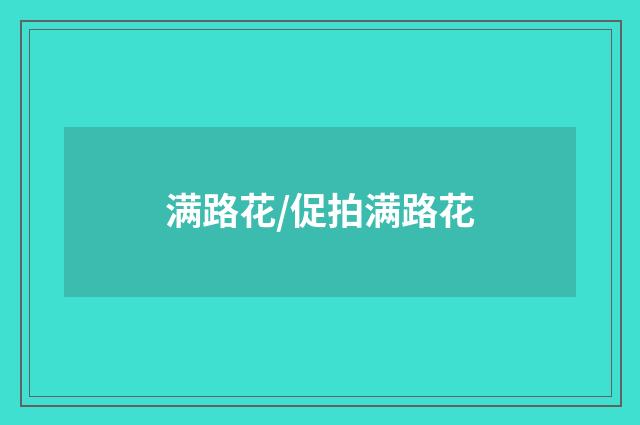 满路花/促拍满路花