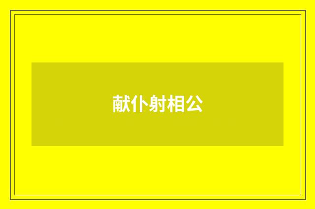 献仆射相公