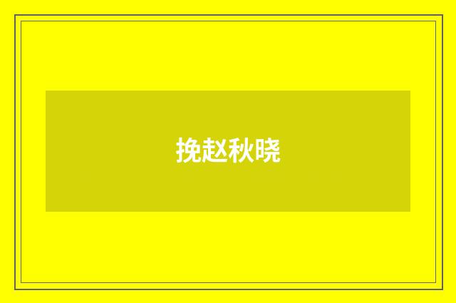 挽赵秋晓
