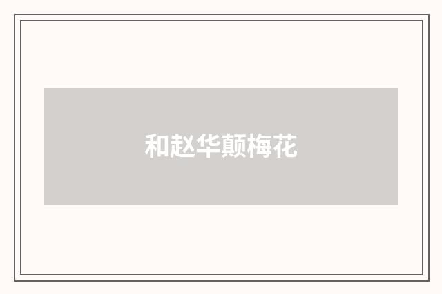 和赵华颠梅花