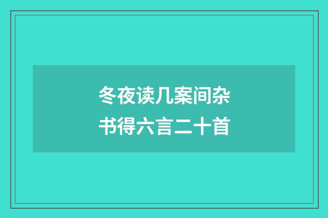 冬夜读几案间杂书得六言二十首