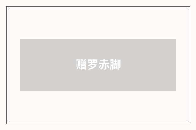 赠罗赤脚