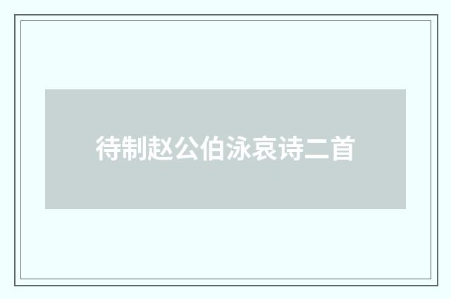 待制赵公伯泳哀诗二首