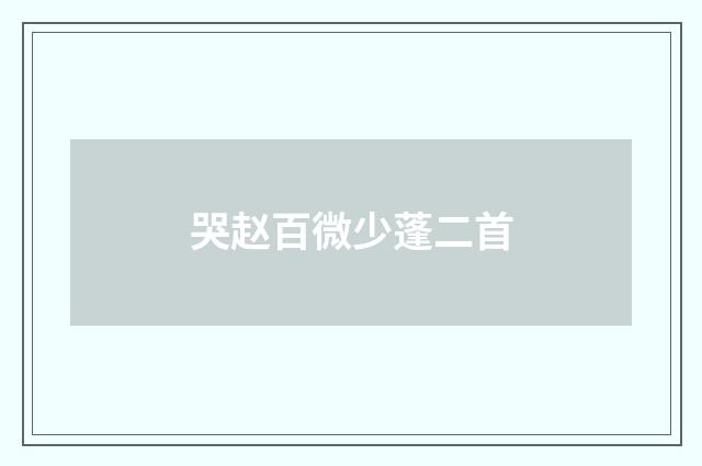 哭赵百微少蓬二首