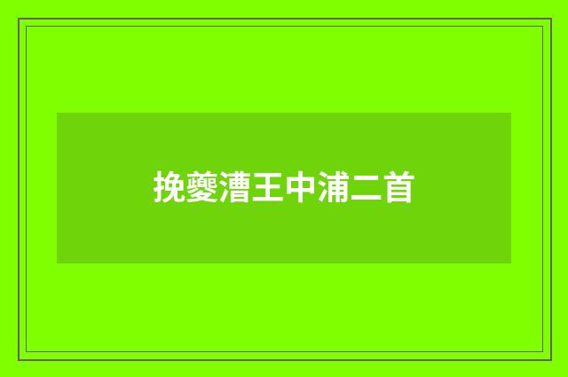 挽夔漕王中浦二首
