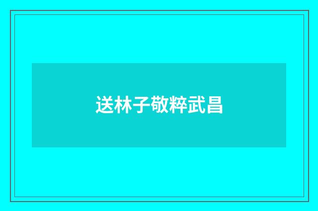 送林子敬粹武昌