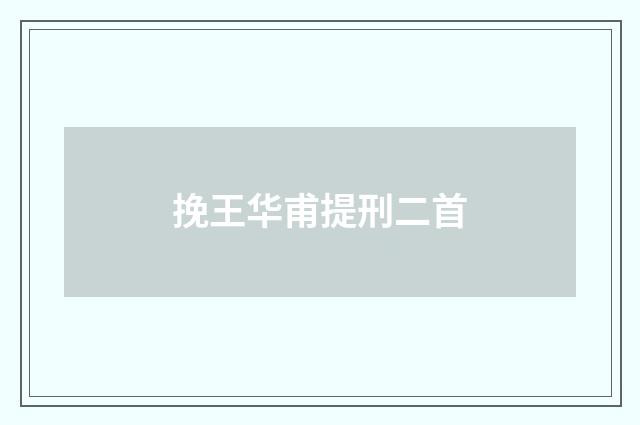 挽王华甫提刑二首