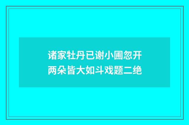诸家牡丹已谢小圃忽开两朵皆大如斗戏题二绝