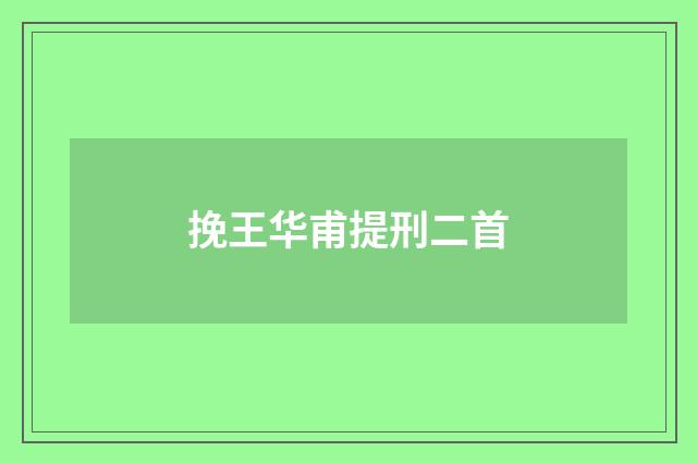 挽王华甫提刑二首