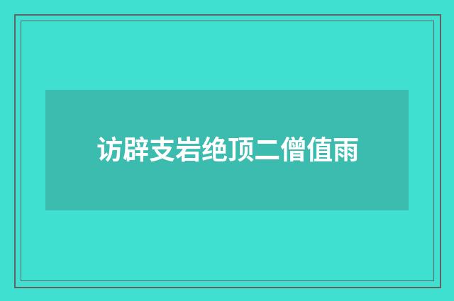 访辟支岩绝顶二僧值雨