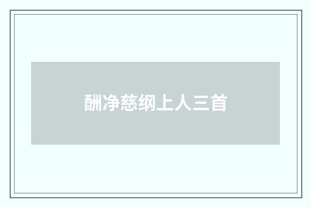 酬净慈纲上人三首