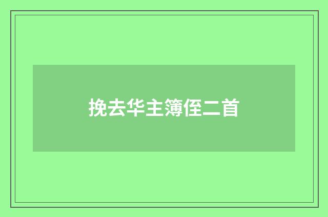 挽去华主簿侄二首