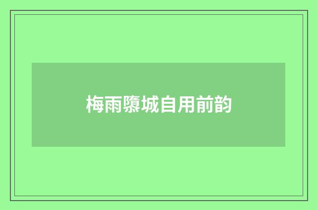 梅雨隳城自用前韵