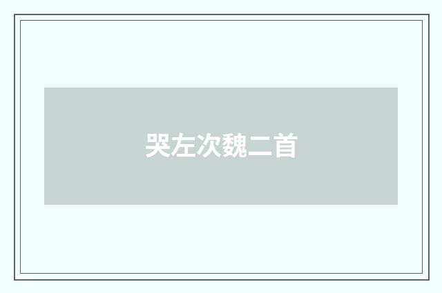 哭左次魏二首