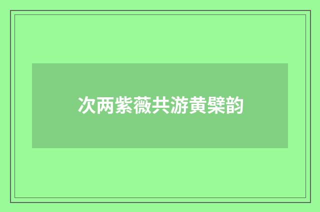 次两紫薇共游黄檗韵
