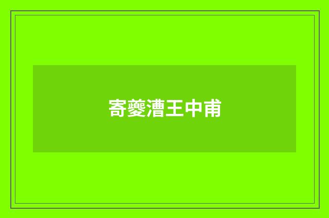 寄夔漕王中甫