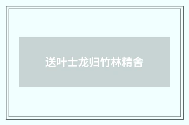 送叶士龙归竹林精舍