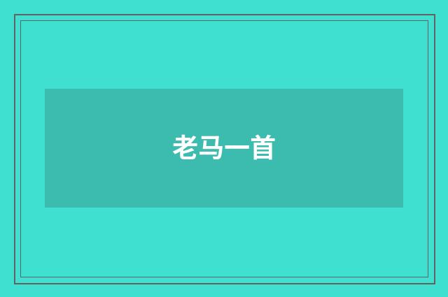 老马一首