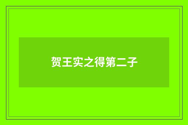 贺王实之得第二子