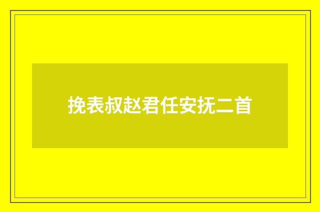 挽表叔赵君任安抚二首