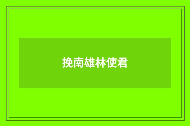 挽南雄林使君