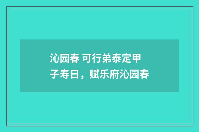 沁园春 可行弟泰定甲子寿日，赋乐府沁园春