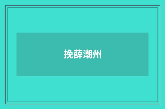 挽薛潮州