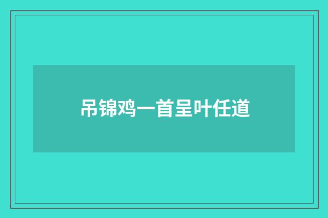 吊锦鸡一首呈叶任道