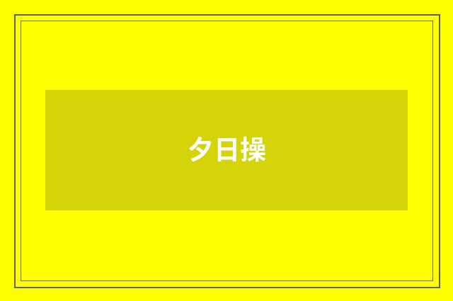 夕日操