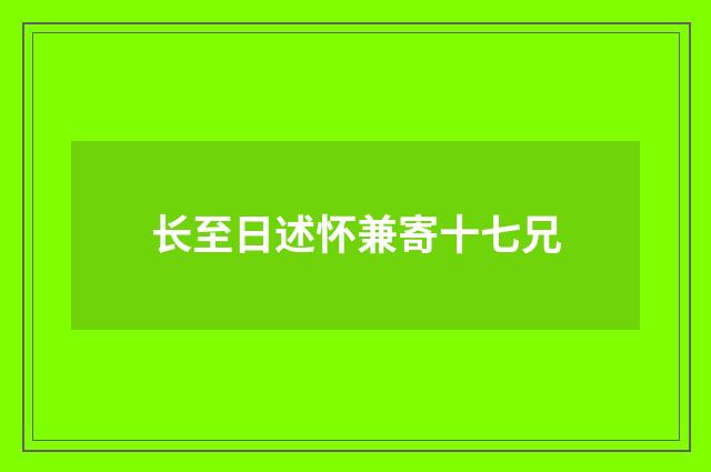 长至日述怀兼寄十七兄