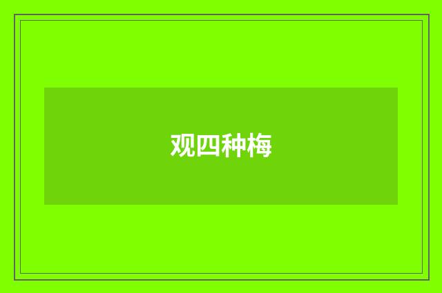 观四种梅