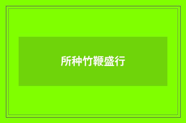 所种竹鞭盛行