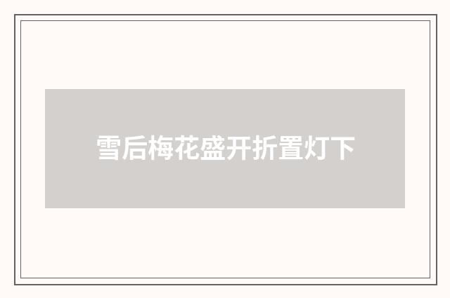 雪后梅花盛开折置灯下