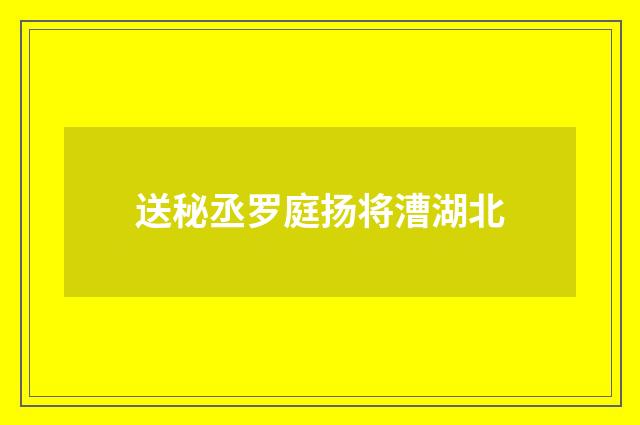 送秘丞罗庭扬将漕湖北