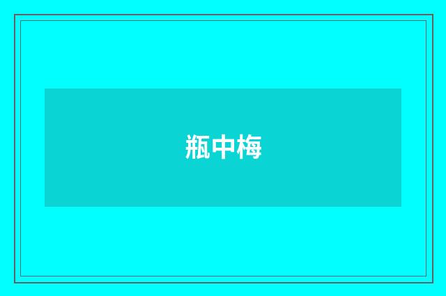 瓶中梅