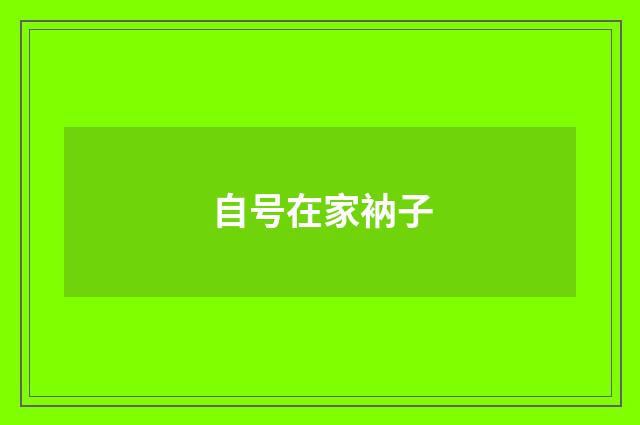 自号在家衲子