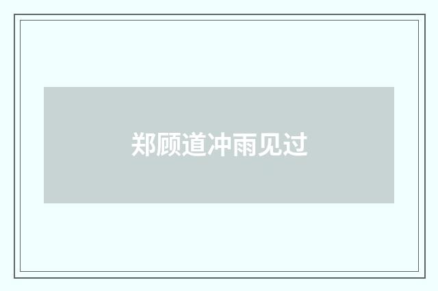 郑顾道冲雨见过