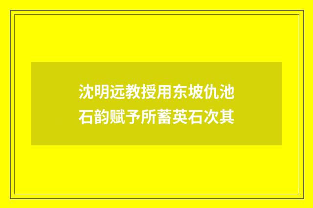 沈明远教授用东坡仇池石韵赋予所蓄英石次其