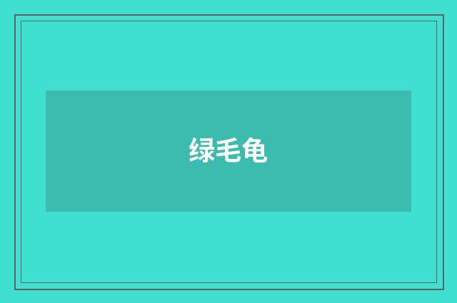 绿毛龟