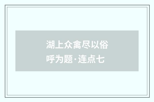 湖上众禽尽以俗呼为题·连点七