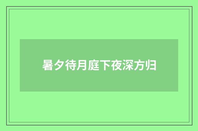 暑夕待月庭下夜深方归
